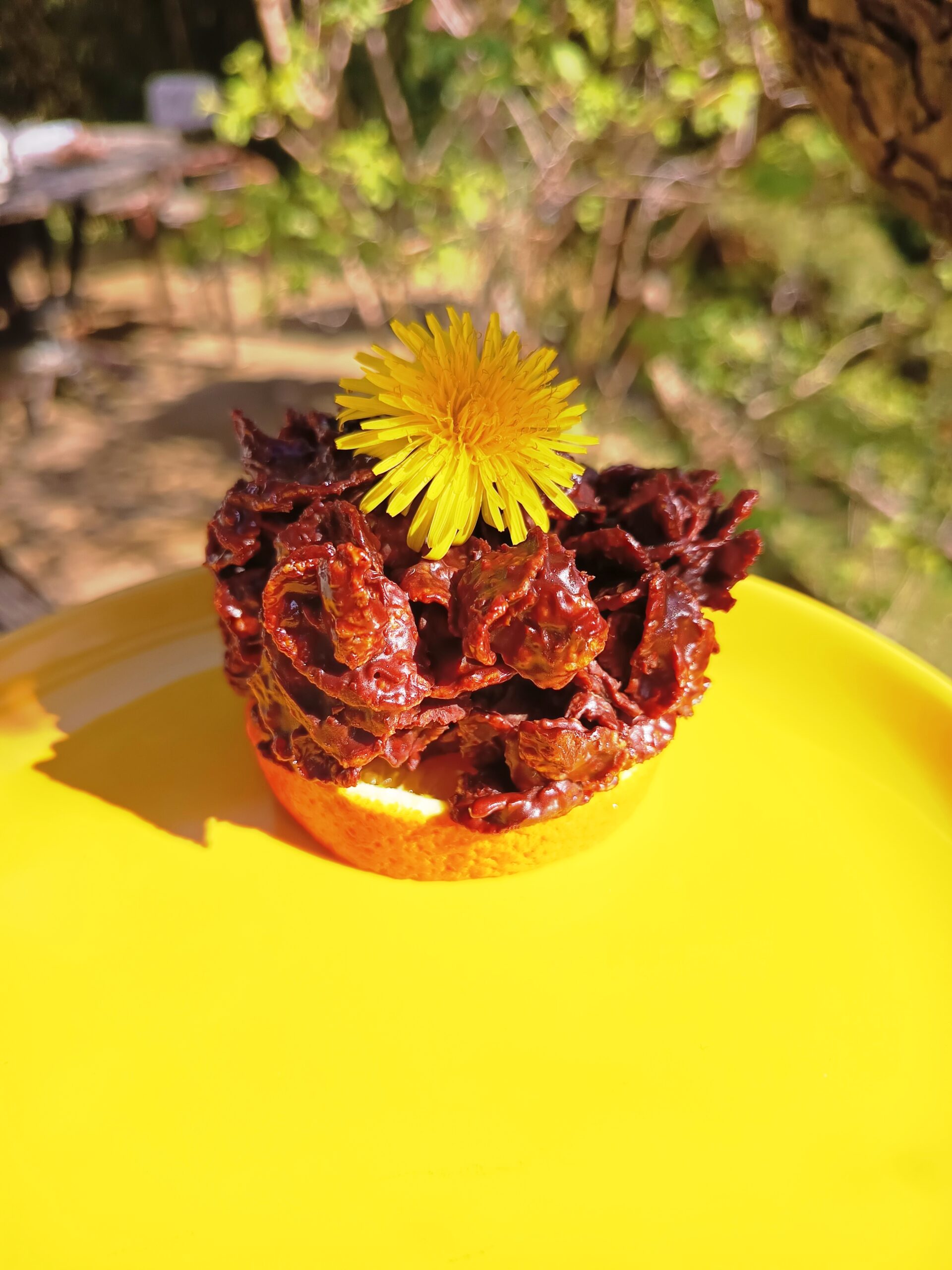 Rose des sables