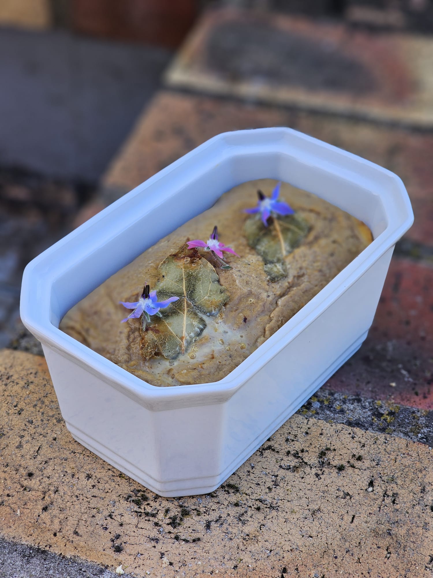 Terrine de lapin