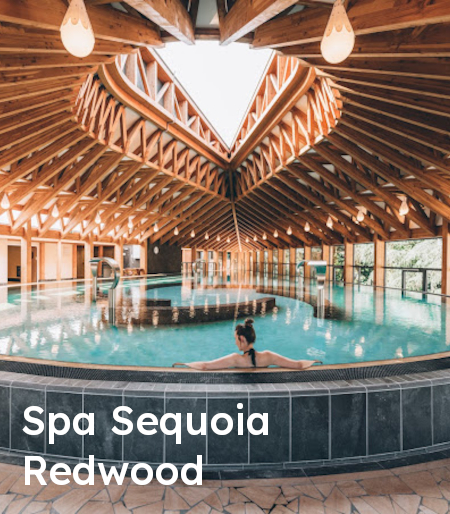 Spa Sequoia Redwood