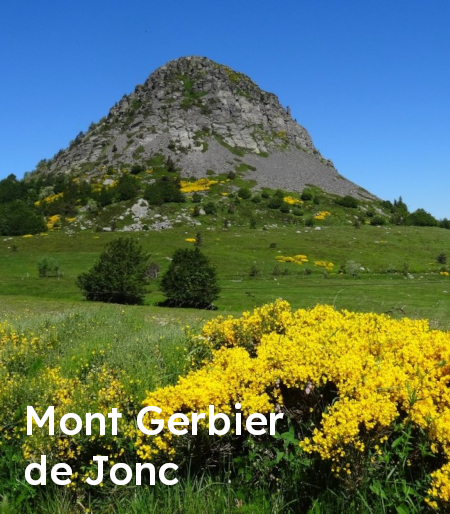 Mont Gerbier de Jonc