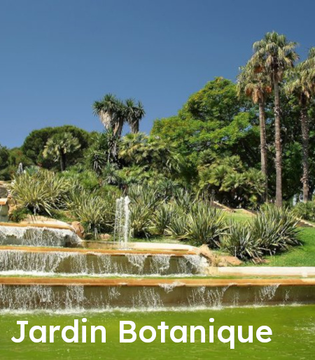 Jardin botanique