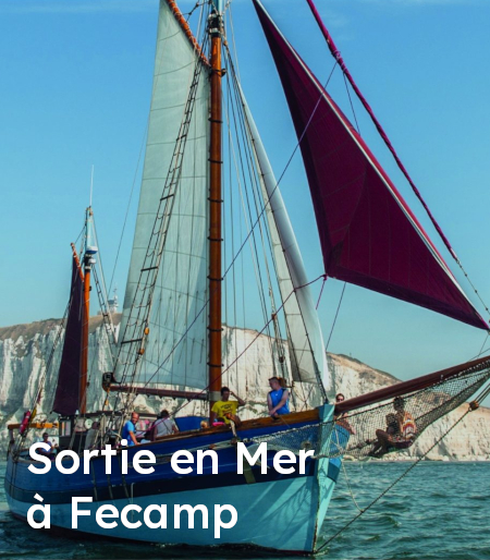 Sortie en mer